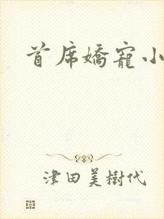 首席娇宠小情人