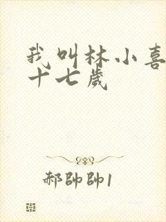 我叫林小喜今年十七岁封面