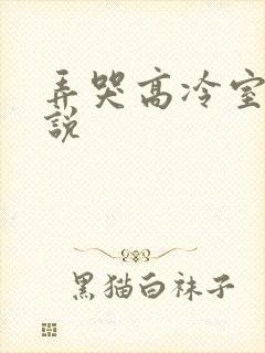 弄哭高冷室友小说