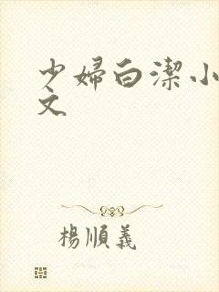 少妇白洁小说全文