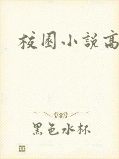 校园小说高h