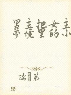 男主把女主拖进梦境里的小说