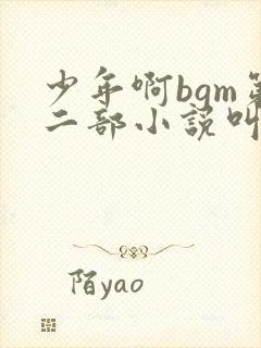 少年啊bgm第二部小说叫什么