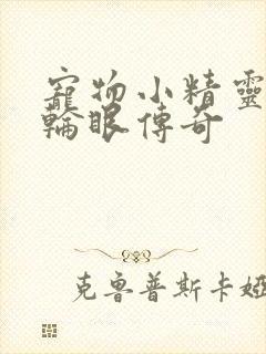 宠物小精灵之写轮眼传奇