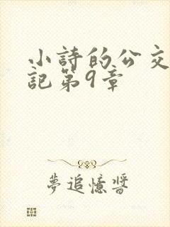 小诗的公交车日记第9章