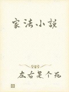 家法小说