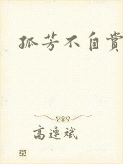 孤芳不自赏小说封面