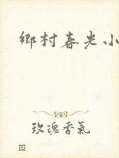 乡村春光小说