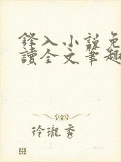 锋入小说免费阅读全文笔趣阁