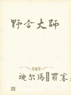 野合大师封面