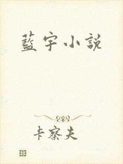 蓝宇小说
