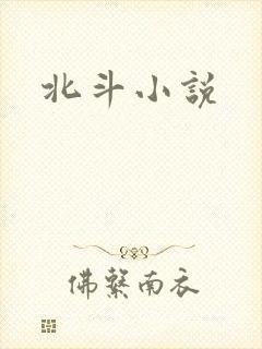 北斗小说