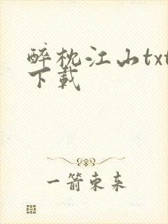 醉枕江山txt下载