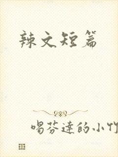 辣文短篇封面