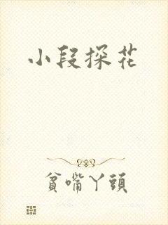 小段探花封面