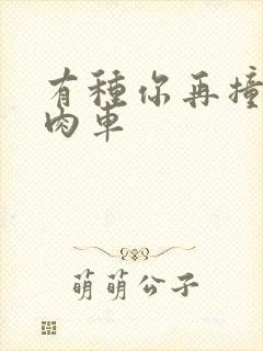 有种你再撞一下肉车封面