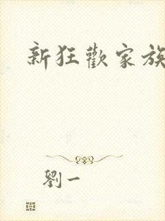 新狂欢家族小说