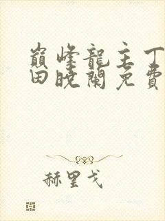 巅峰龙主丁长顺田晓兰免费阅读