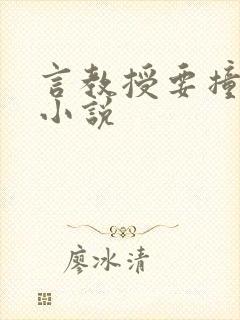 言教授要撞坏了小说