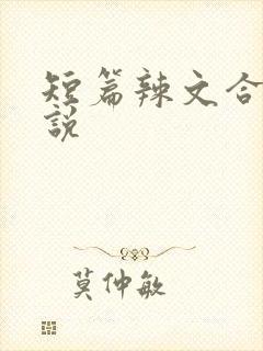 短篇辣文合集小说封面