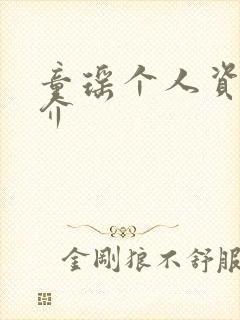 童瑶个人资料简介