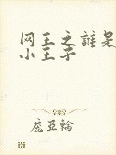 网王之谁是我的小王子