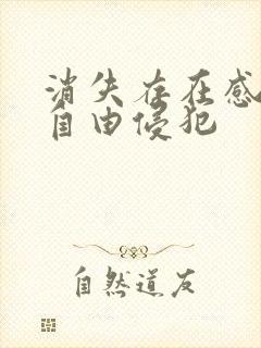 消失存在感消失自由侵犯封面