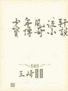 少年风流轩辕大宝传奇小说