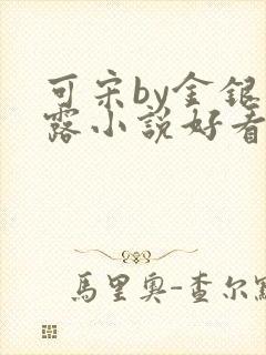 可宋by金银花露小说好看吗