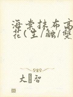 海棠抹布高岭之花(生/触/双)封面