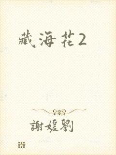 藏海花2