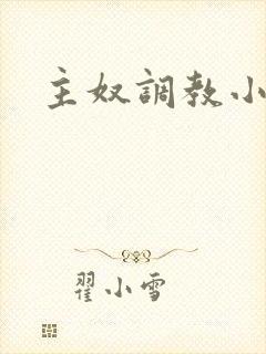 主奴调教小说封面