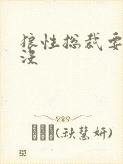 狼性总裁要够了没封面