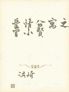 爱情公寓之极品曾小贤封面