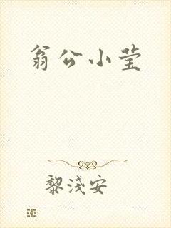 翁公小莹