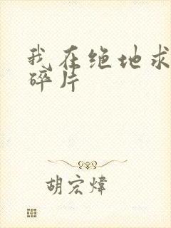 我在绝地求生捡碎片