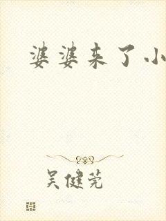 婆婆来了小说封面