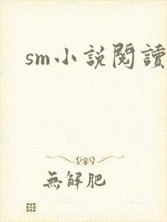 sm小说阅读