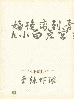 婚后脔到青梅哭h小白兔宫交h