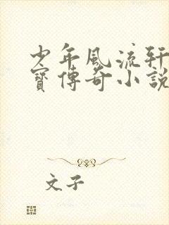 少年风流轩辕大宝传奇小说