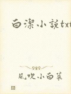 白洁小说txt