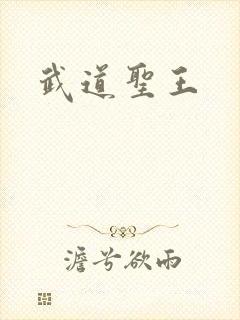 武道圣王封面