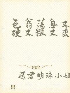 色翁荡息又大又硬又粗又爽小莹