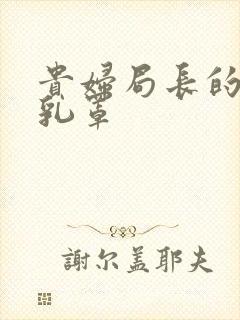 贵妇局长的蕾丝乳罩