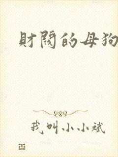 财阀的母狗们