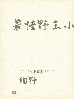 最佳野王小说封面