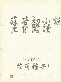 苏若初小说全文免费阅读