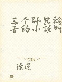 三个师兄轮流上音的小说叫什么