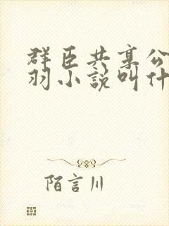 群臣共享公主银羽小说叫什么