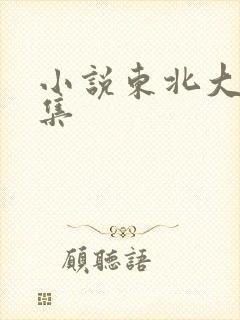 小说东北大炕全集